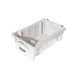 MEAT TRAY PLASTIC - LARGE - 1